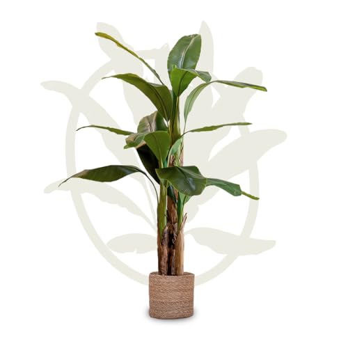 Maia Shop Artificial Banana Tree 5FT Tall, Fake Plant with Realistic Leaves and Trunks, Faux Silk Plant made with The Best Materials, Artificial Plant for Home Decor Indoor, Tropical Decor, 60 inches