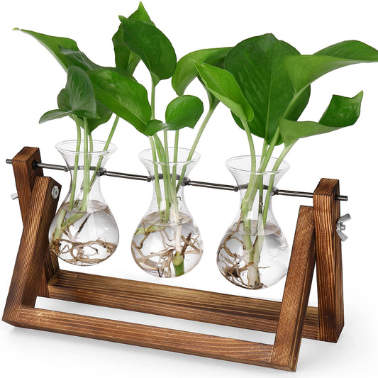 YIBOT Plants Propagation Stations,Plant Terrarium with Retro Wooden Stand,Unique Gardening Birthday Gifts for Women Plant Lovers,Hydroponics Plants Home Office Garden Decor-3 Bulb Glass Vases